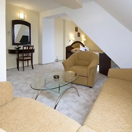 Hotel Ambient