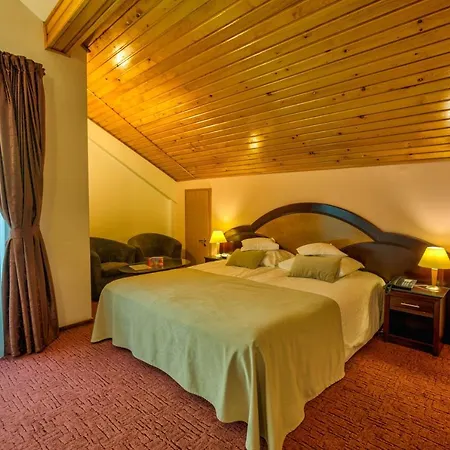 Hotel Ambient Brasov