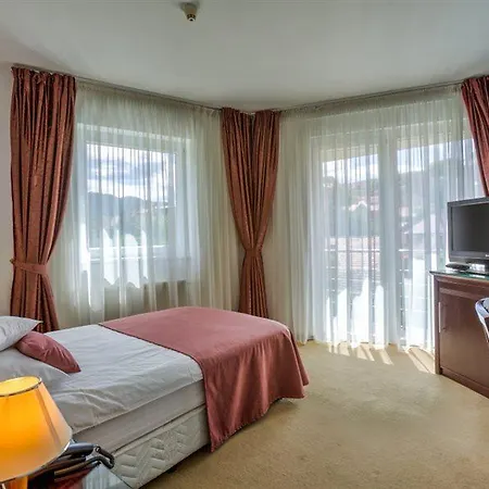 Hotel Ambient