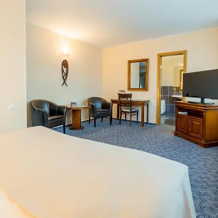 Ambient Hotel Brasov