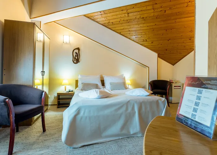 Hotel Ambient Brasov